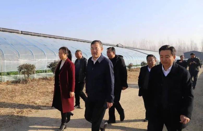 曲阜市市长崔加清到吴村镇调研农业生产工作