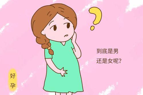 玩套路非b超医生莫属,他们的行话你听懂了多少?