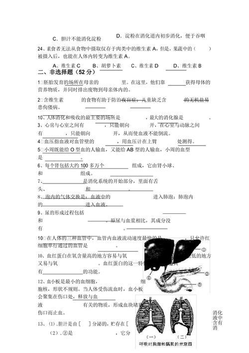 人教版七年级下册生物初一生物下册期中考试卷及答案