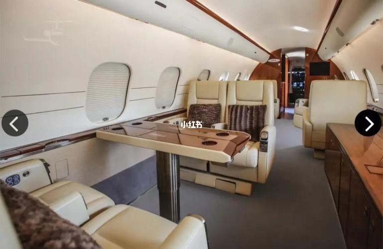 私人包机,畅飞全球……_机票_创业_签证_vlog_疫情下的全球生活_生活