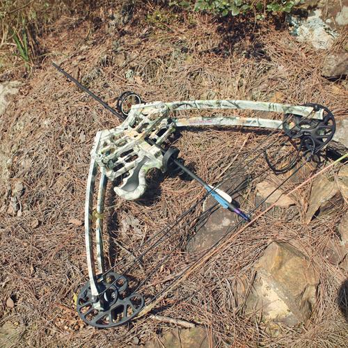 新款三角弓复合弓钢珠箭两用复合弓车猎弓短轴弓箭夜鹰左右手通用