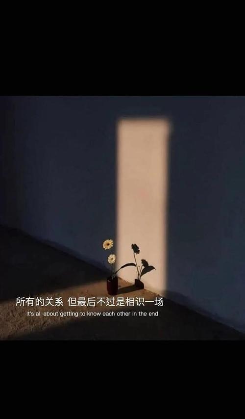 特别现实的伤感句子越看越痛挑一句送给自己