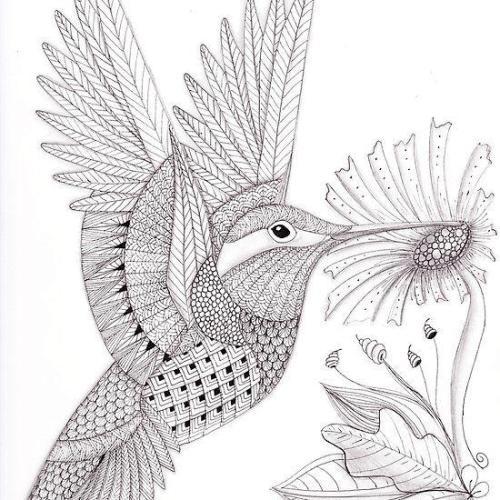 秘密花园简笔画6