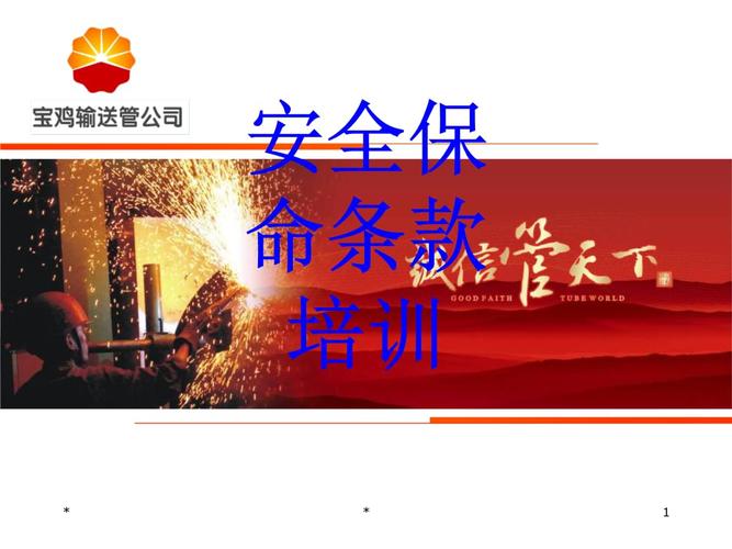 安全保命条款培训课件.ppt 35页