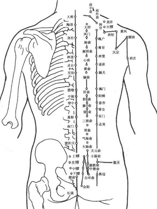 告诉你全身穴位在哪里,让你按摩保健不搞错穴位,如果你感觉不错,请给