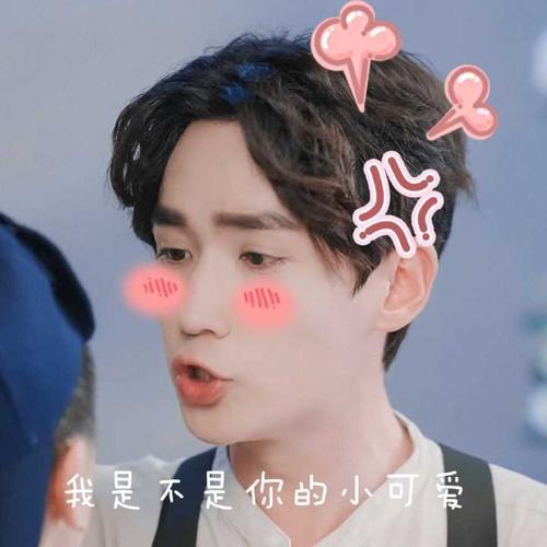 求朱一龙表情包?