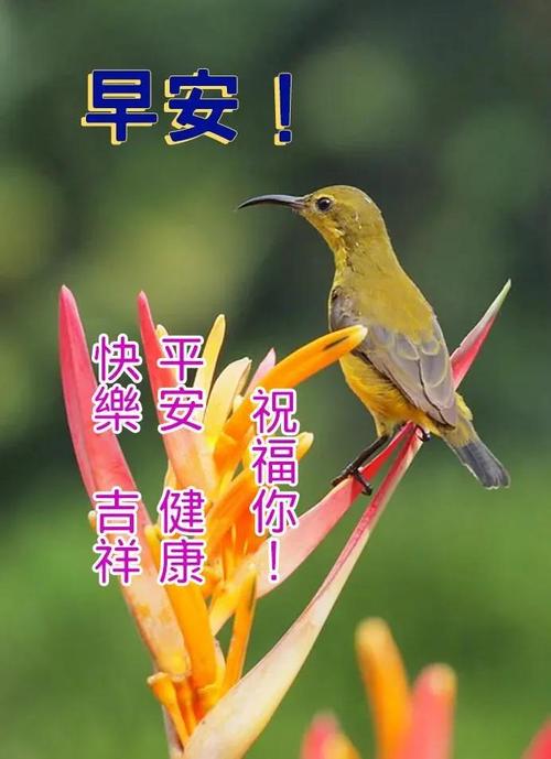 原创2021缘分早上好图片大全送给真心朋友早上好图片问候