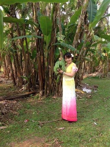 青年美女画家金朵赴西双版纳采风花絮