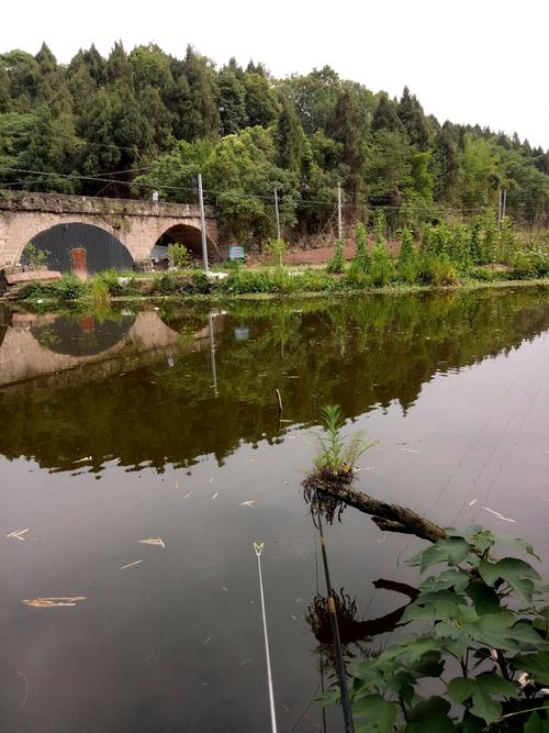 四川省成都市金堂县又新镇金堂大道天气预报