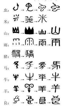 汉字中的象形文字?