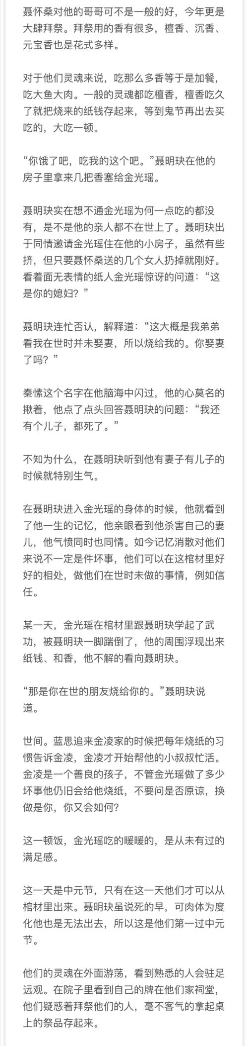 【魔道/聂瑶】我有妻子有儿子