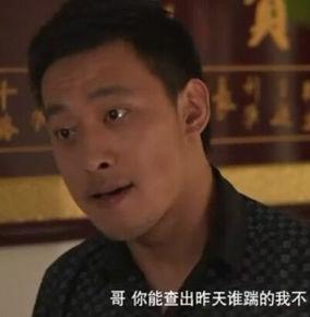 赵山河誓要灭掉刘海柱,陈卫东根本拦不住