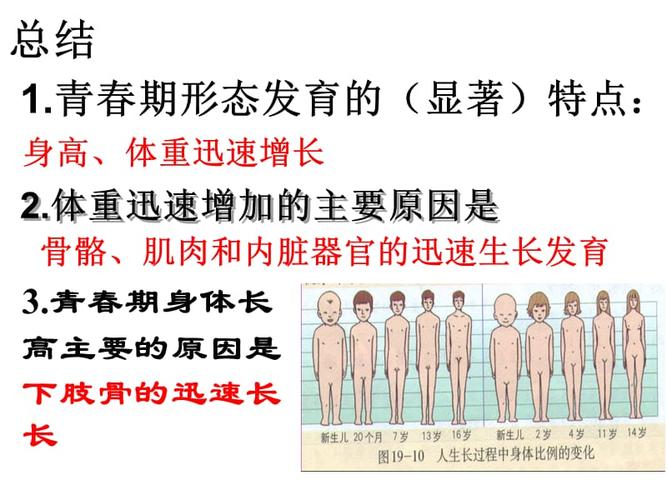 2.青春期第二性征发育的特点.ppt
