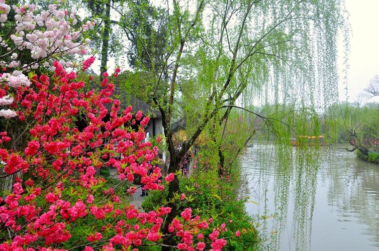 烟雨蒙蒙下扬州