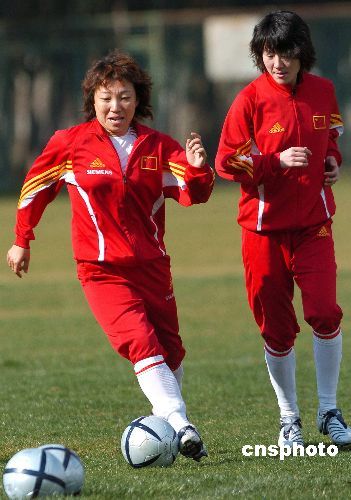 图:"铿锵玫瑰"绽放高原昆明