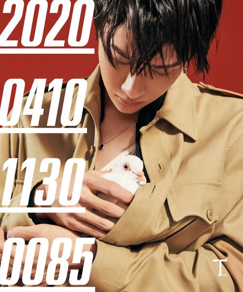 王一博20194芭莎男士月球漫步