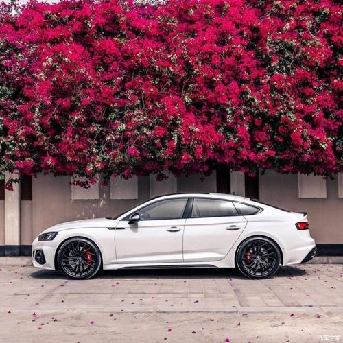 【图】rs5,白色也不差,一百万以内四门高性能_奥迪rs论坛_汽车之家