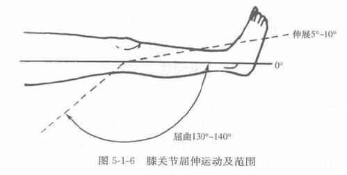 膝盖弯曲的度数指的的是什么?能不能说的具体一点.