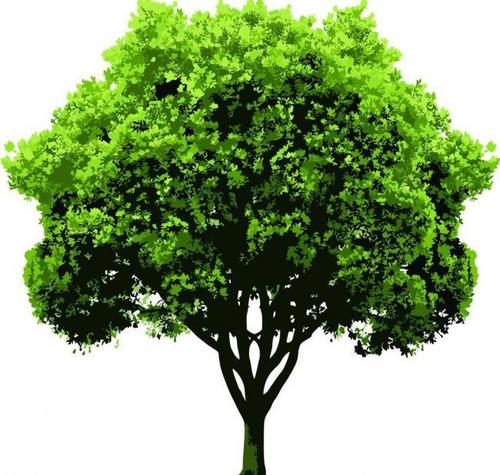 树的矢量矢量素材,树的矢量模板下载,树的矢量,树,矢量,绿色,ai,大树