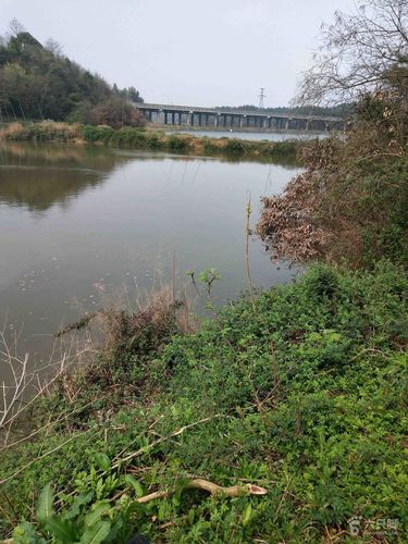 随岳高速的松阳湖