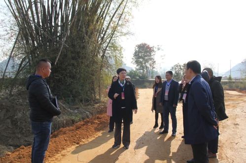 杨玉霜,大埠乡,人大代表,大埠村,黄贤斌,大岗