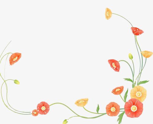 卡通花朵藤蔓边框装饰