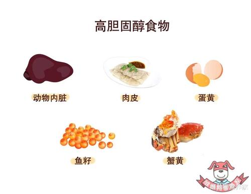 家有高血脂不要慌,饮食做好这几点比吃药更管用!