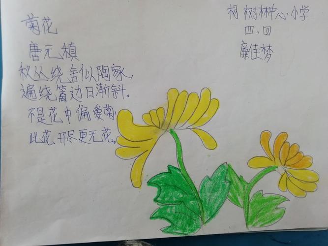 智宏班诗配画(10) 弘扬中华经典 菊花