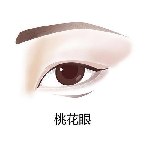 二十种眼形大全图解,中国人常见几种眼型