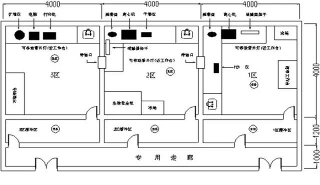pcr实验室平面图