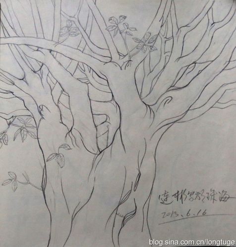 大榕树写生稿