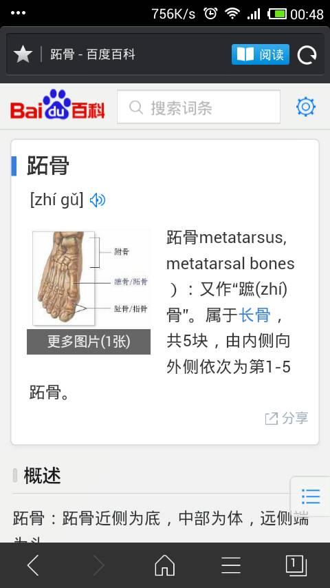跖(什么字),给我拼音