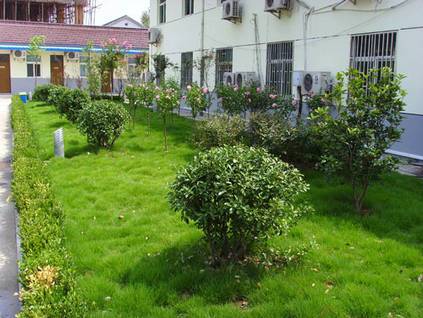 昆山天成园艺有限公司