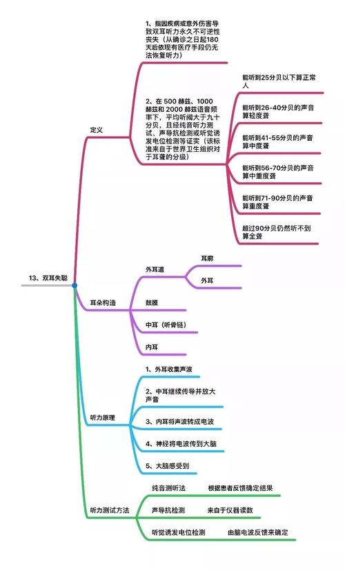 严重原发性肺动脉高压 24 重型再生障碍性贫血 思维导图做得比较直观