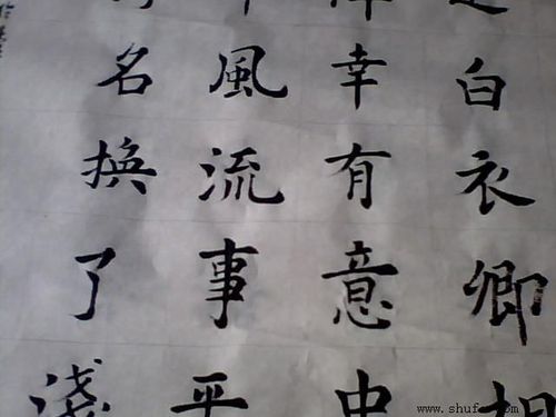 鹤冲天的作者简介