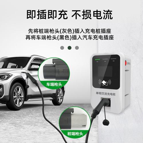 国网充电桩双头枪双枪欧拉新能源电动汽车慢充线比亚迪广汽荣威