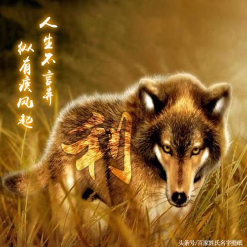 霸气配图(多款霸气,狼性,大气微信头像)