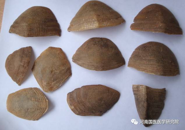 醋山甲的功效与作用女人吃中药醋鳖甲功效