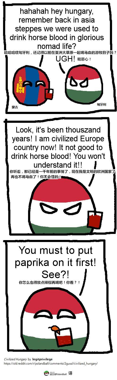 【波兰球里的它】基督之盾