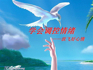中学生《学会调控情绪――放飞好心情》心理健康教育主题班会ppt课件