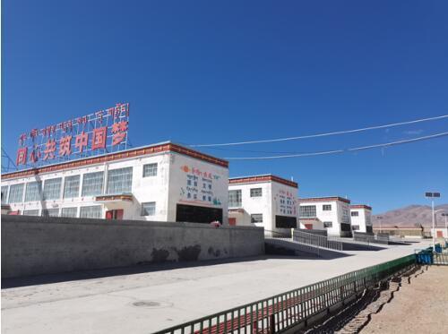 阿里地区措勤县完全小学见闻 :花朵齐放 共促团结