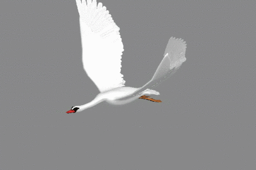 天鹅fei_preview-精细模型 飞行 有动画3dmax动作游戏