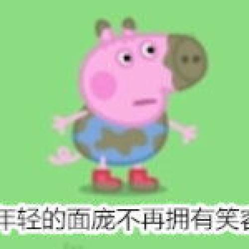 小猪佩奇x乔治