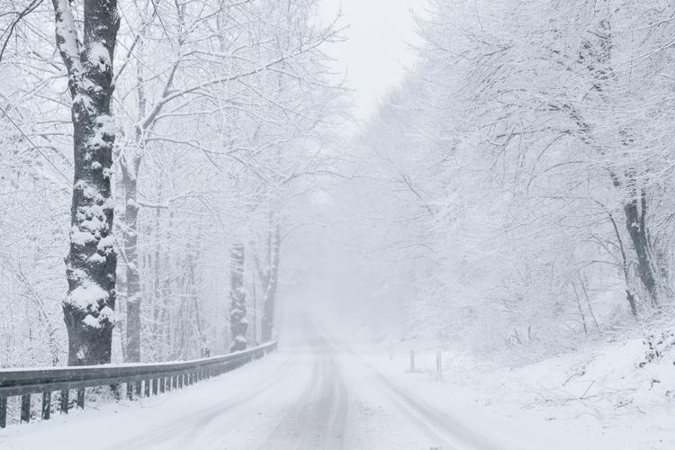 雪天道路两旁风景图片