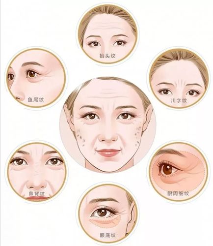 皱纹皱纹你快走开