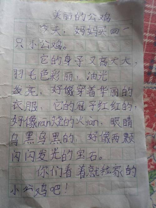 我的日记,美丽的大公鸡