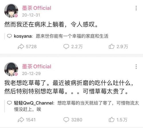b站up主"墨茶"死前只想吃草莓,直播守望先锋为生,却无