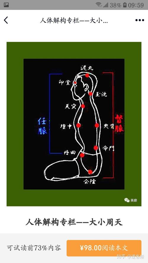 人体解构专栏——大小周天