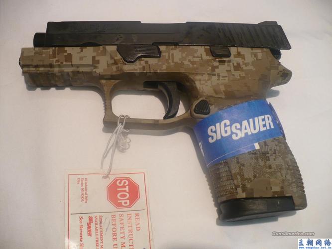 sig sauer p250警用手枪(10)