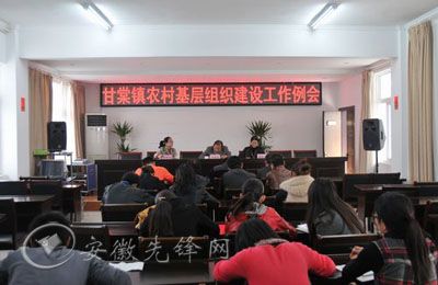 安徽黄山区甘棠镇四个"突出"提升基层党组织工作水平